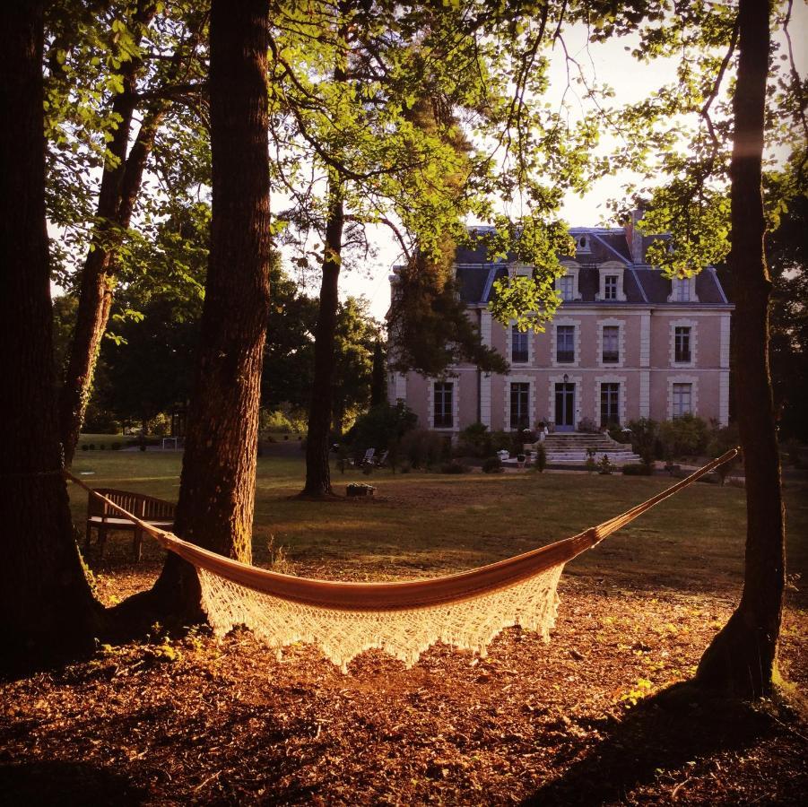 Château Des Essards Avec Piscine Et Jacuzzi 3* Langeais