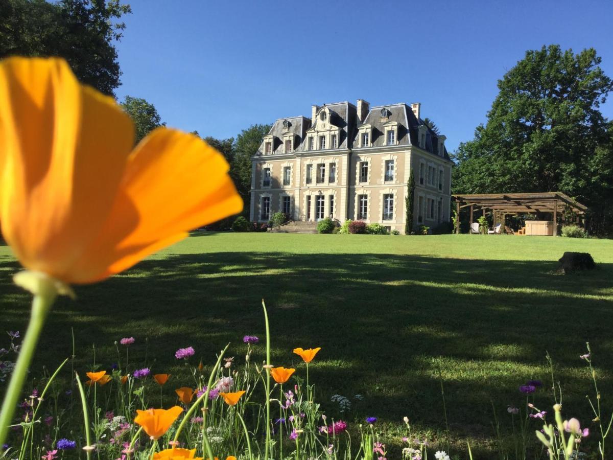 Château Des Essards Avec Piscine Et Jacuzzi Langeais